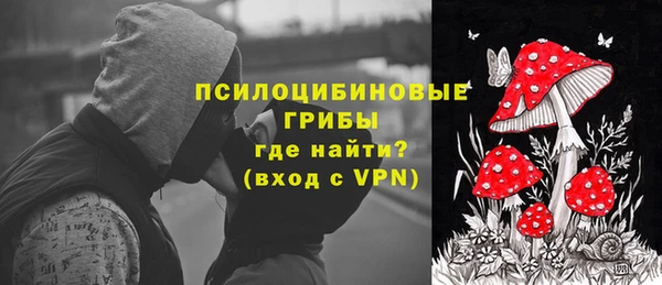 экстази Арсеньев
