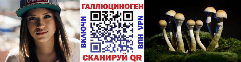 Галлюциногенные грибы Psilocybine cubensis  цена наркотик  Сердобск 